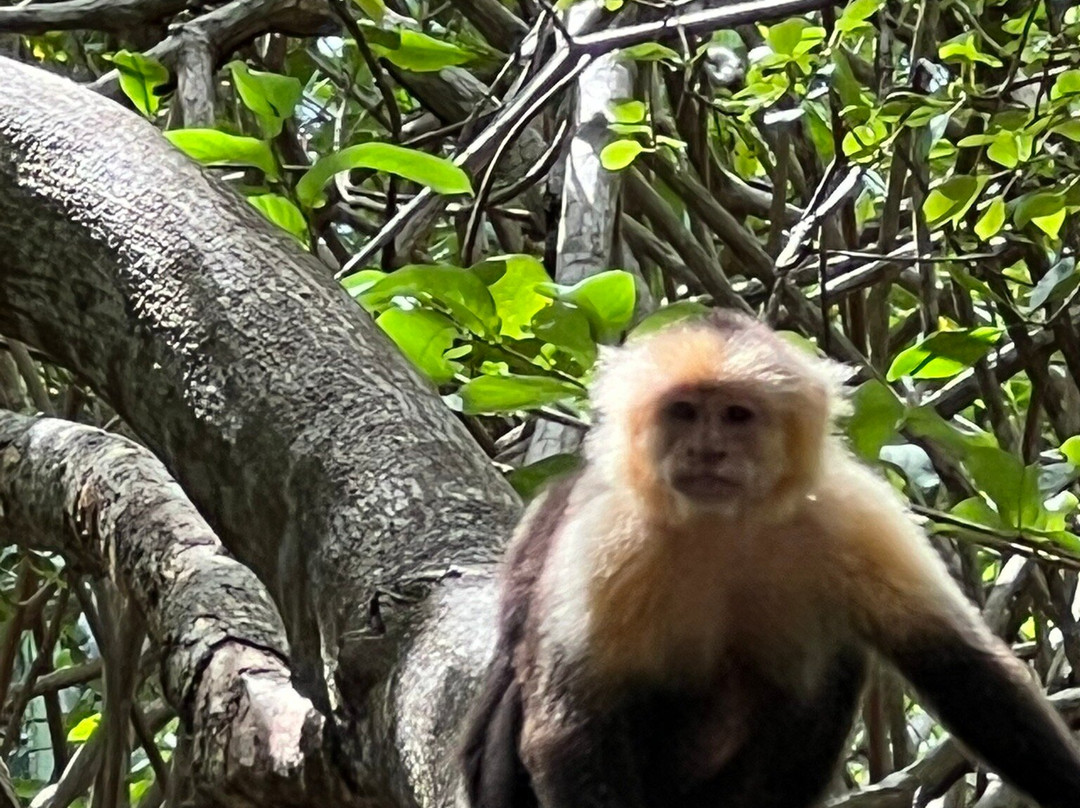 Jack Adventures Costa Rica-Culebra必去景点