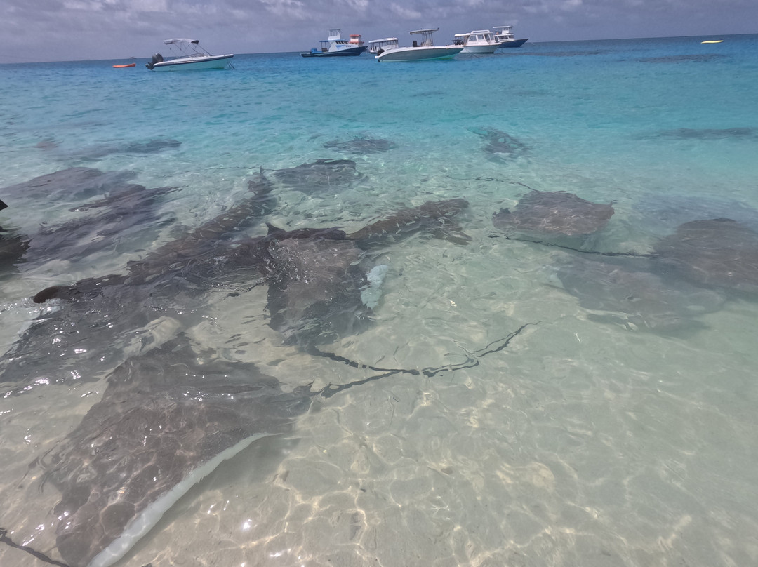 Guraidhoo Excursions & Water Sports-康杜玛岛必去景点
