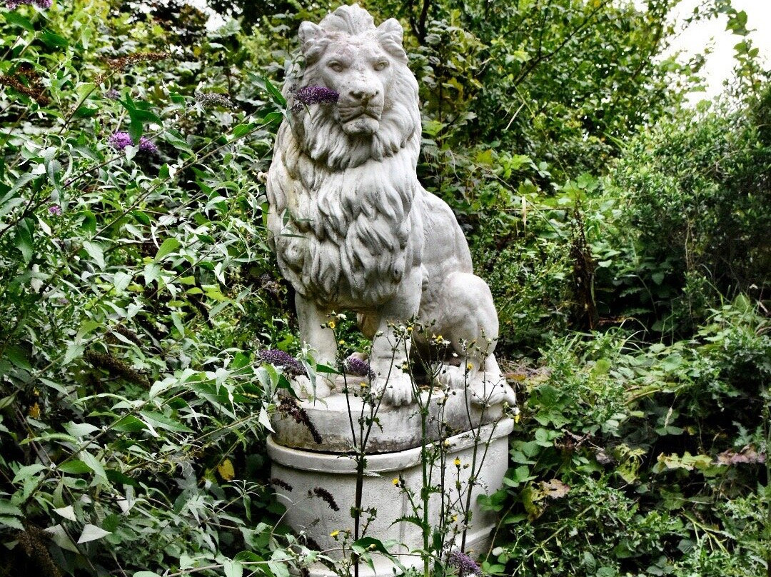 Arbigland House and Gardens-邓弗里斯必去景点