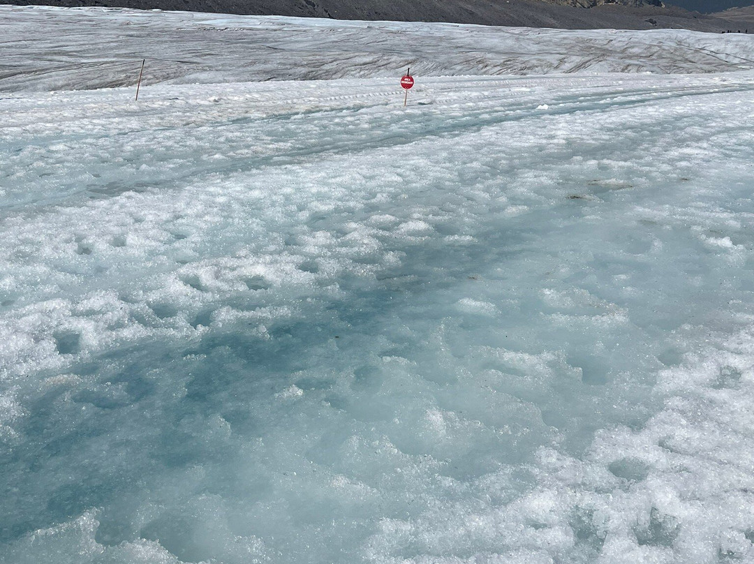 Athabasca Glacier-贾斯珀国家公园必去景点