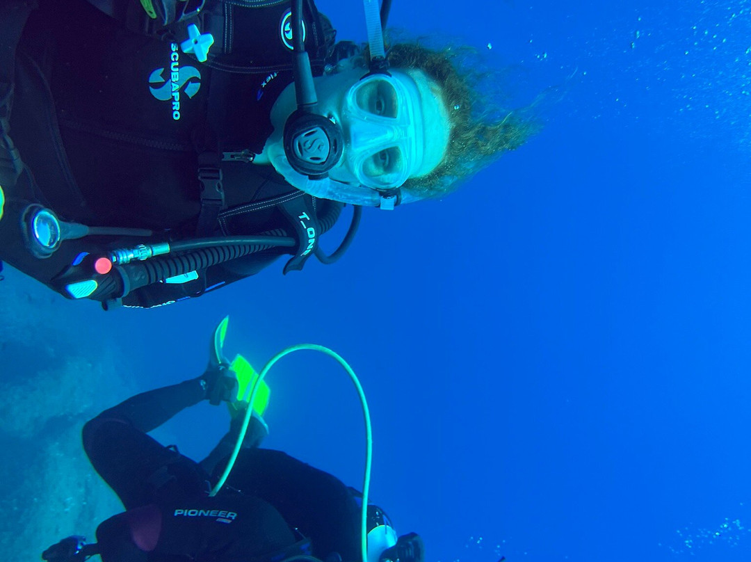 Orca Dive Club Sardinia-圣特雷莎加卢拉必去景点