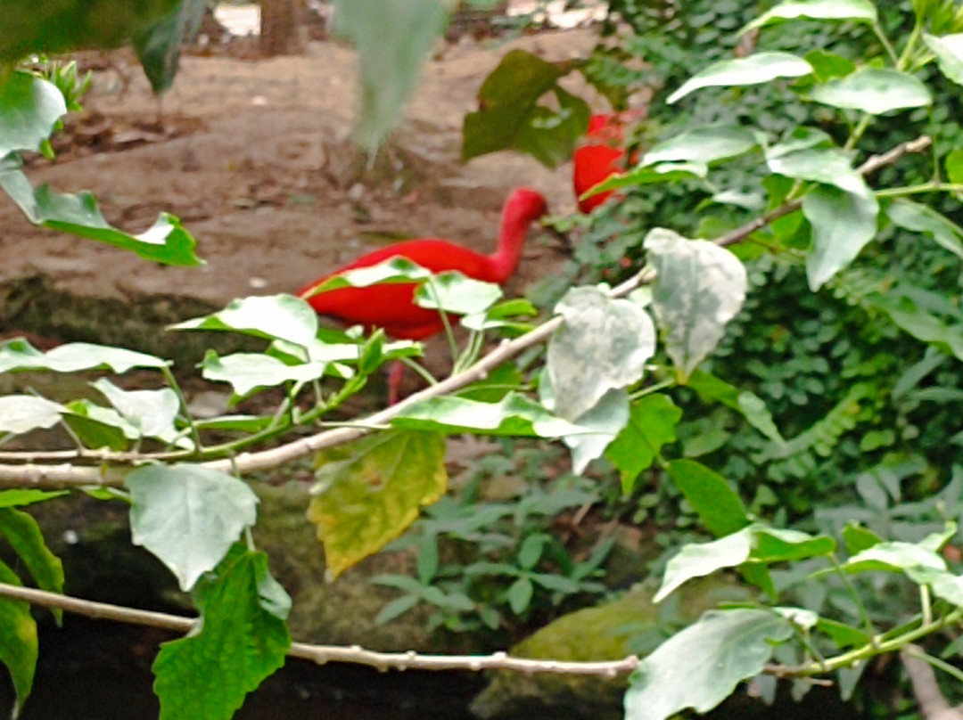 Butterfly Park Empuriabrava-Castello d'Empuries必去景点