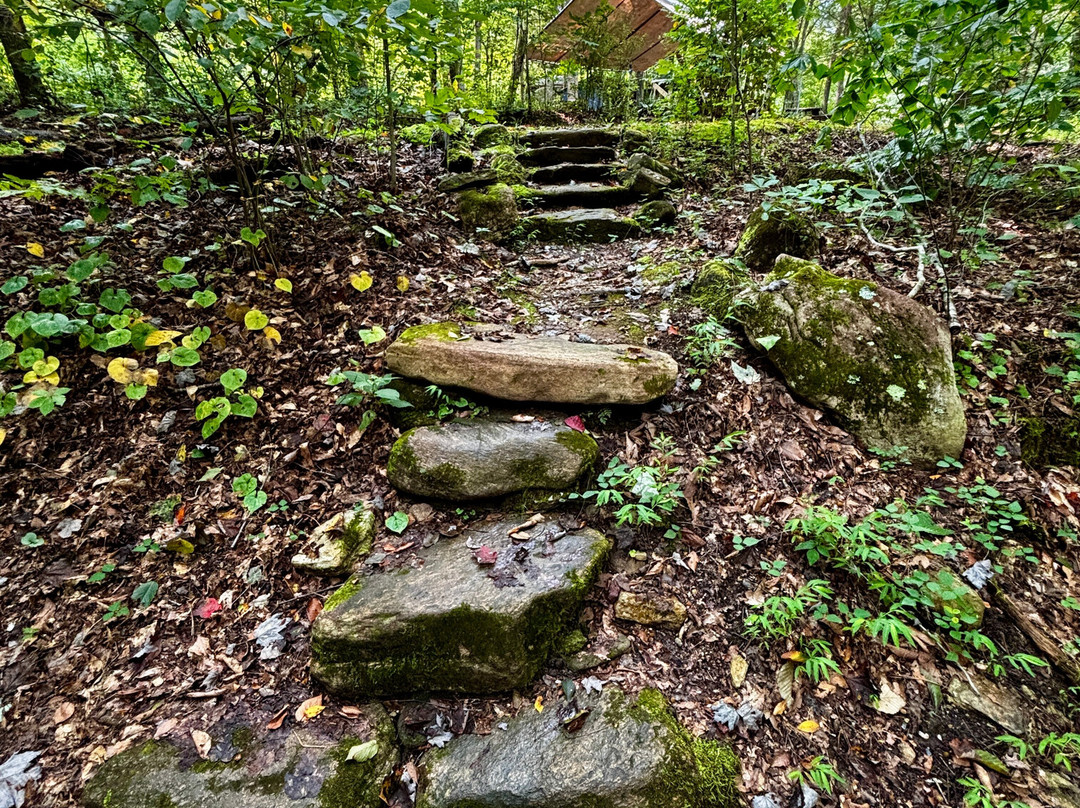 Earthaven Ecovillage-Black Mountain必去景点