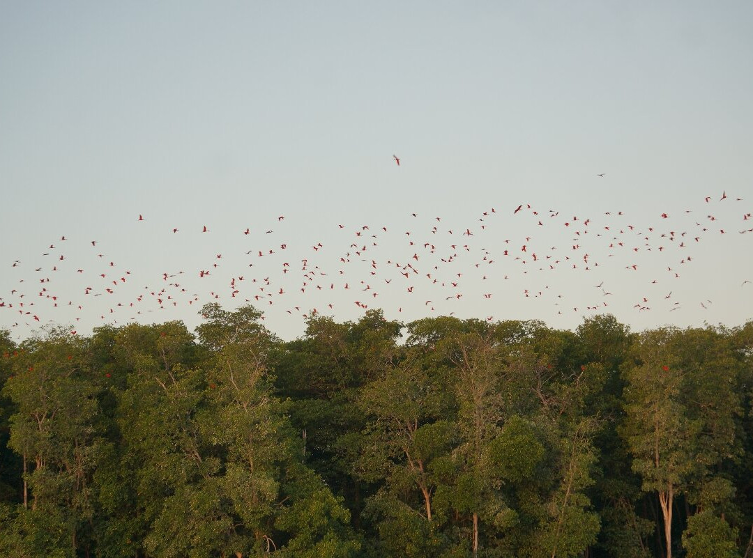 Delta Rio Parnaiba Turismo-Parnaiba必去景点