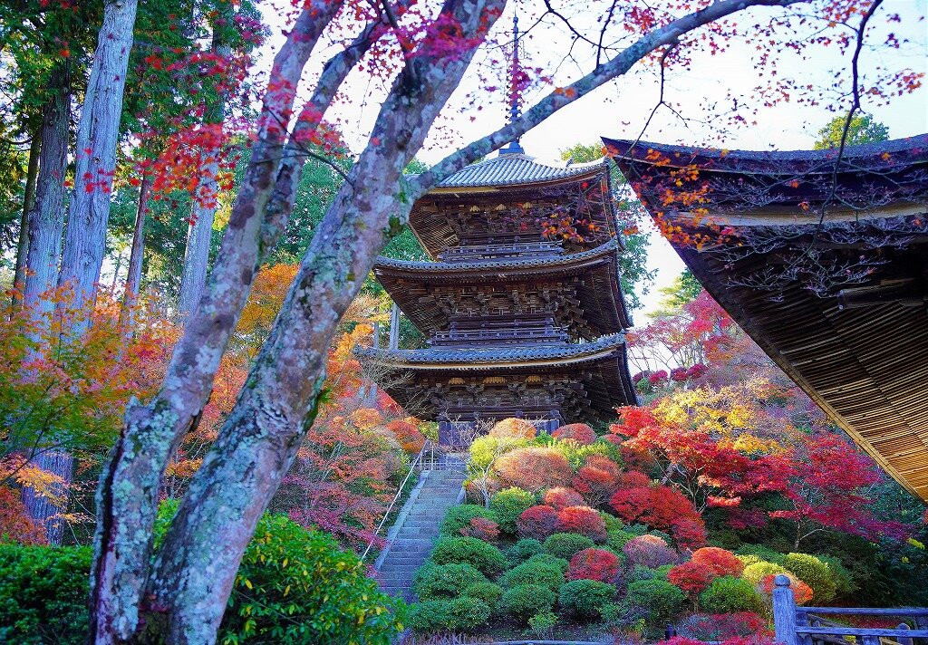 Jorakuji Temple-湖南市必去景点