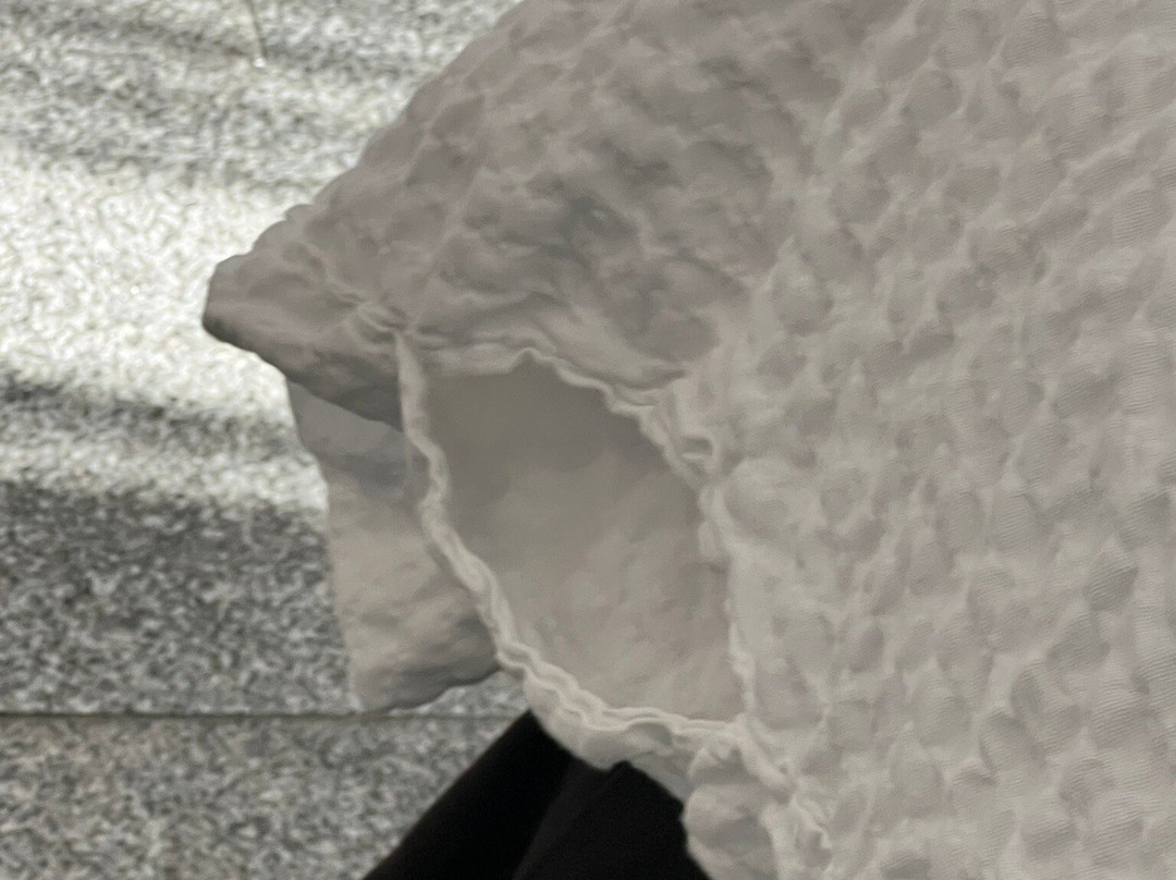 Fiesta Inn Merida主图