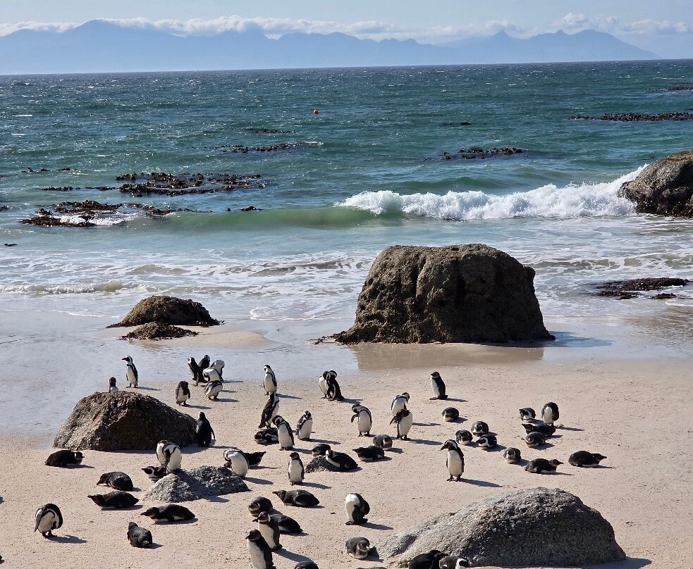 Earthstompers Adventures-开普敦中心区必去景点