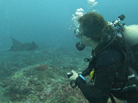 Legend Diving Penida-珀尼达岛必去景点