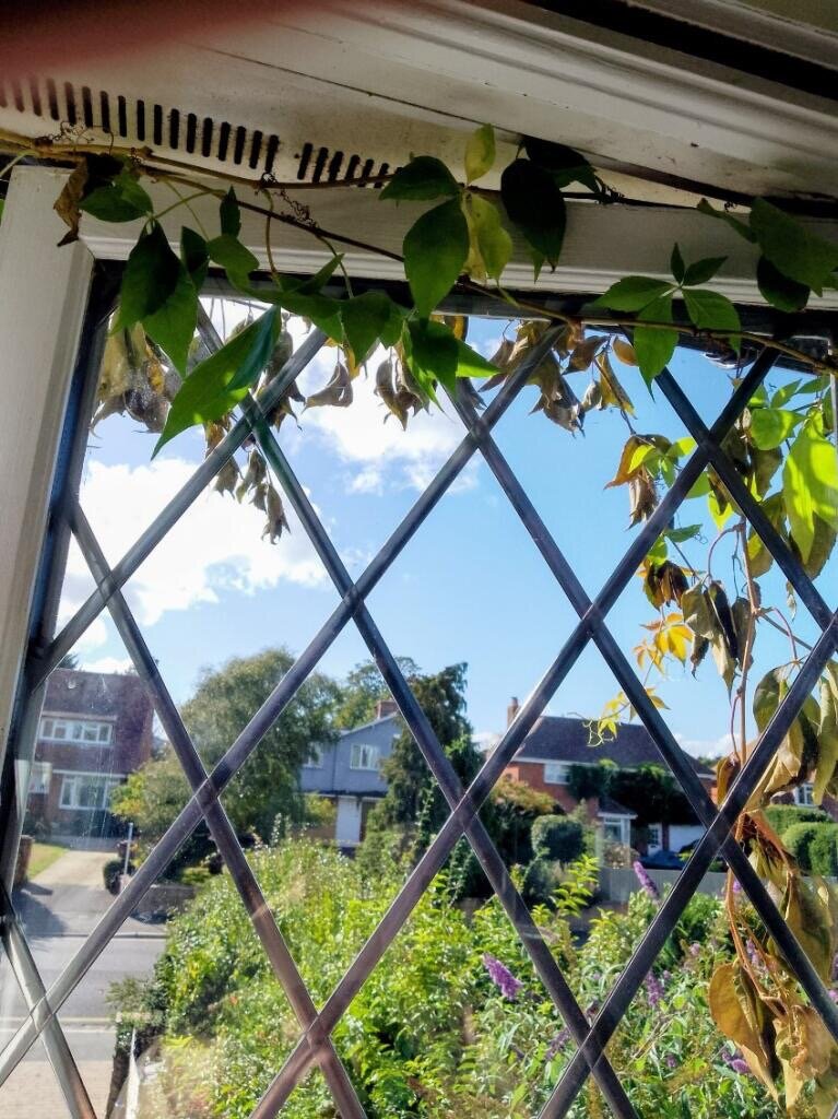 24 Ward Avenue Bed & Breakfast-官方