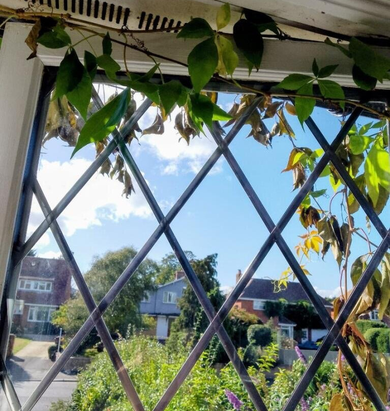 24 Ward Avenue Bed & Breakfast主图