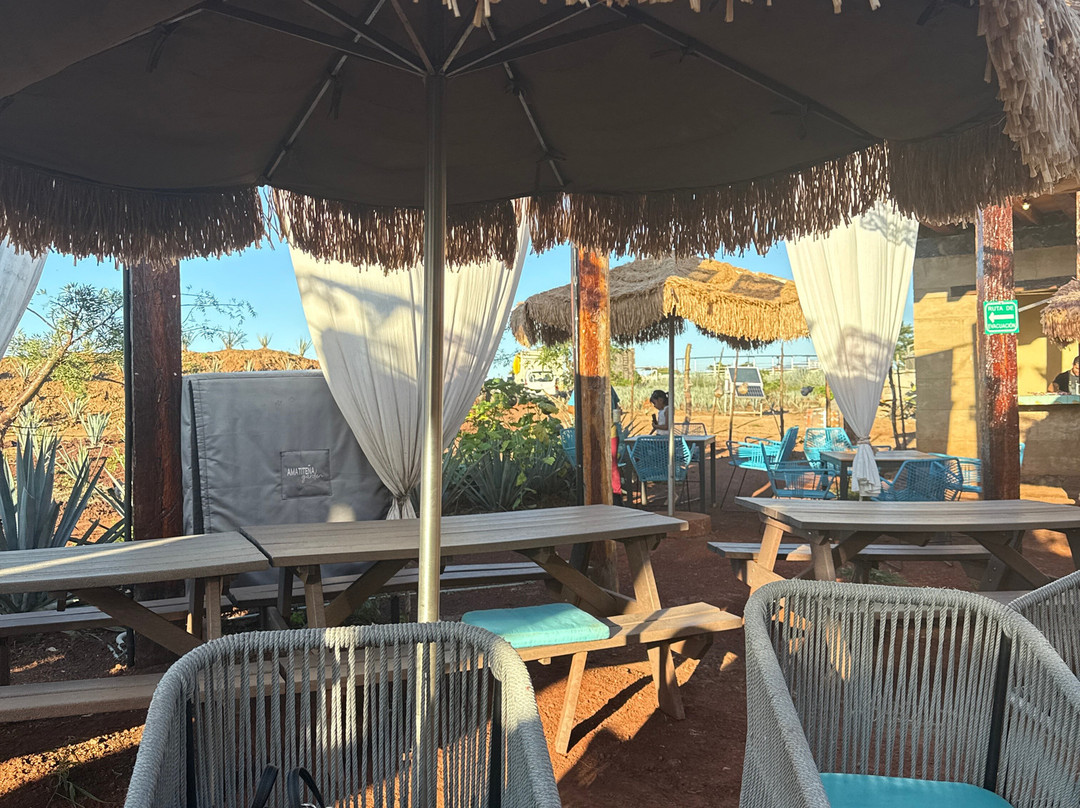 Amatiteña Garden-Amatitan必去景点