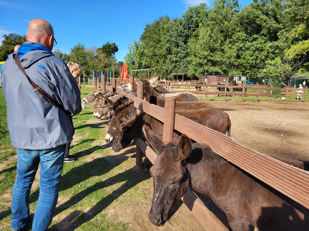 Elefantenhof Platschow-Platschow必去景点