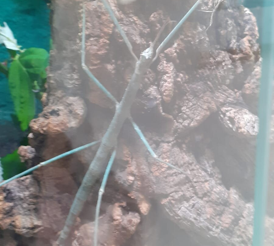 Wasserstern-因戈尔施塔特必去景点