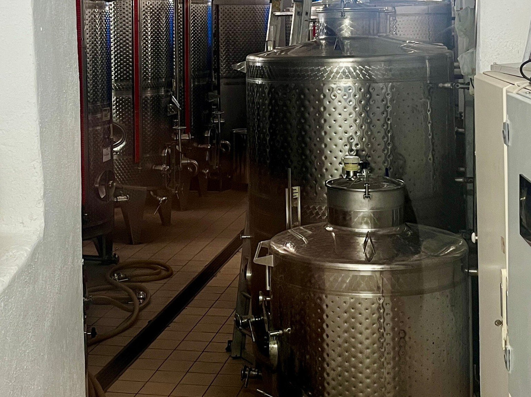 Gavalas Winery-梅加洛克豪略翁必去景点