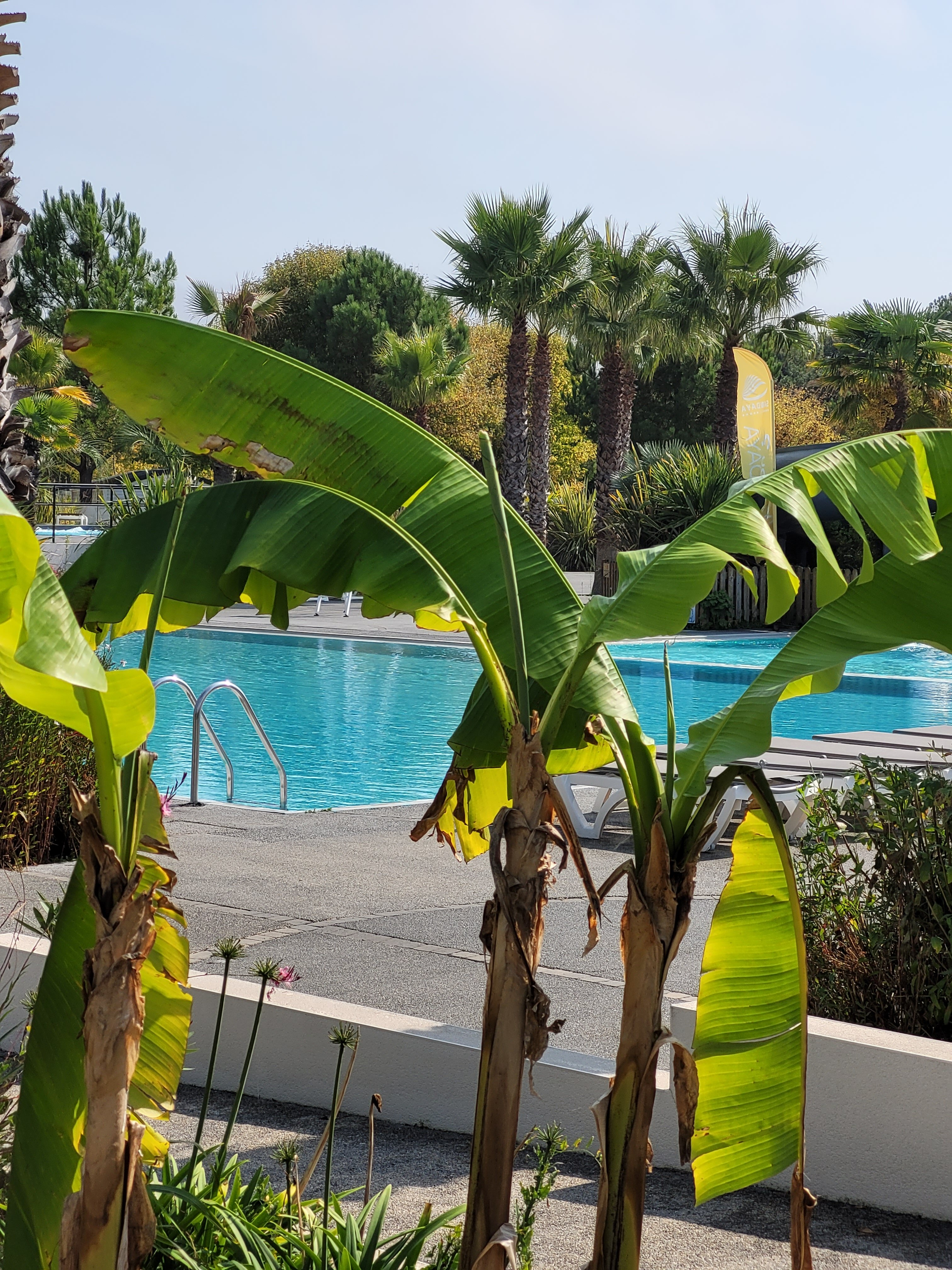 Camping Sandaya Le Littoral-官方