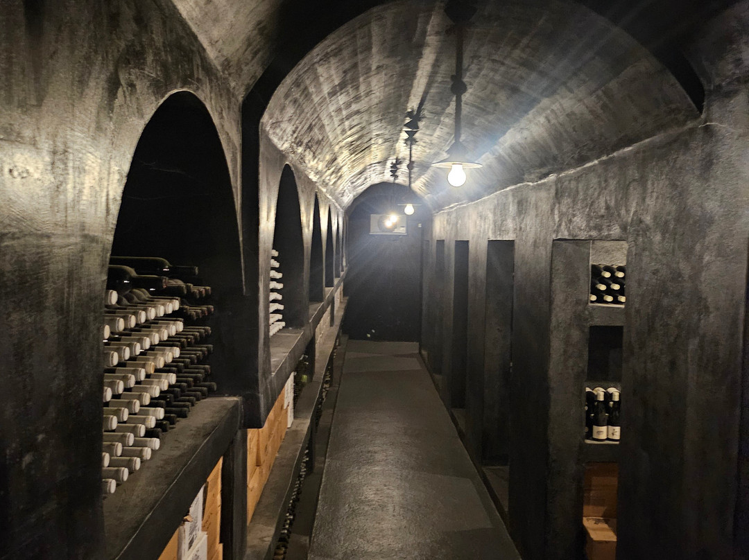 Santorini Wine Stories-圣托里尼必去景点