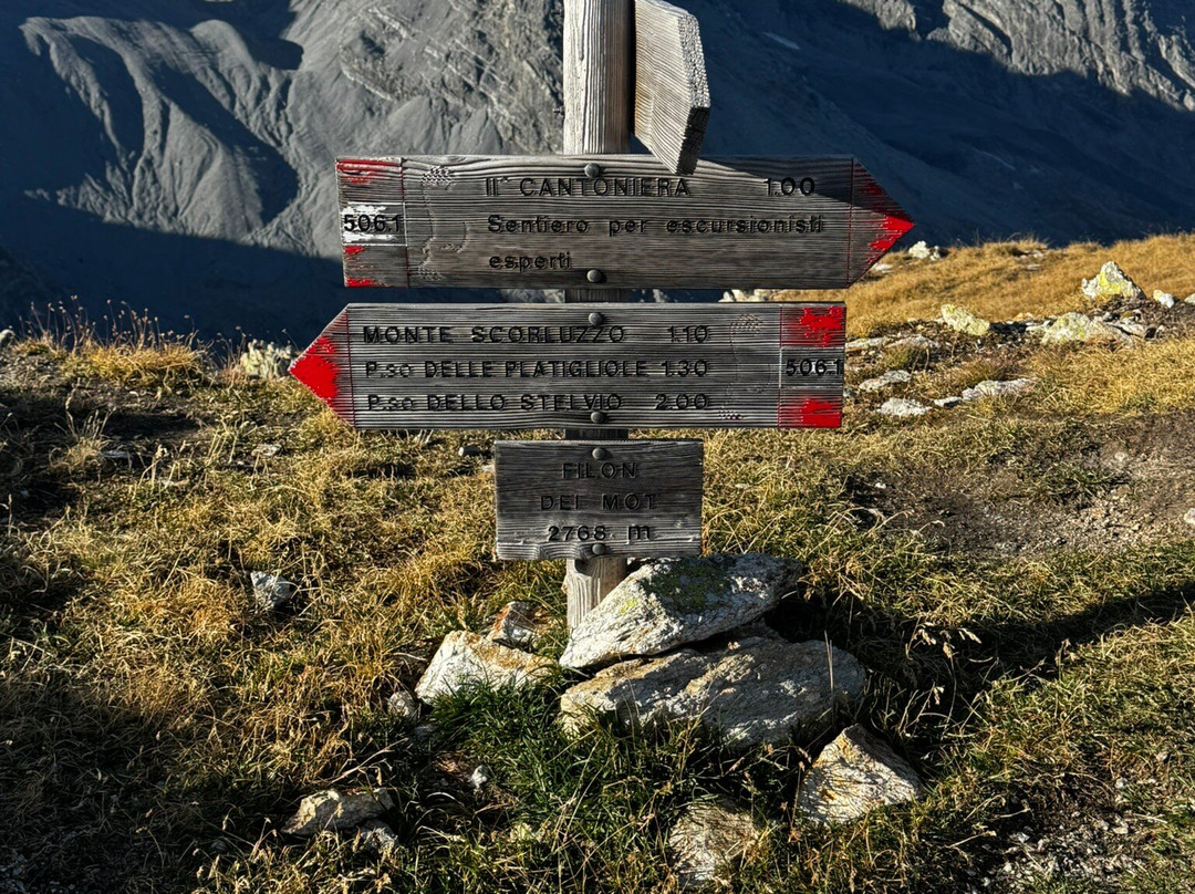 Monte Scorluzzo-博尔米奥必去景点
