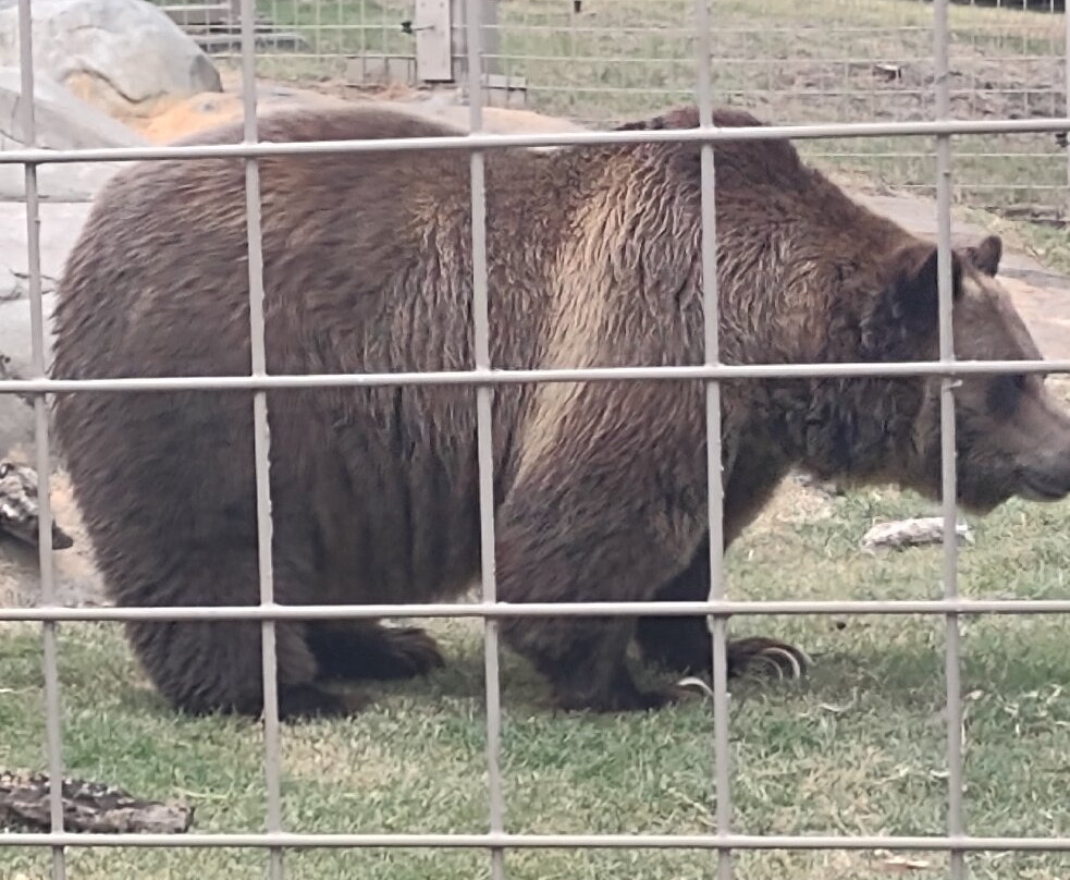 Tulsa Zoo-塔尔萨必去景点