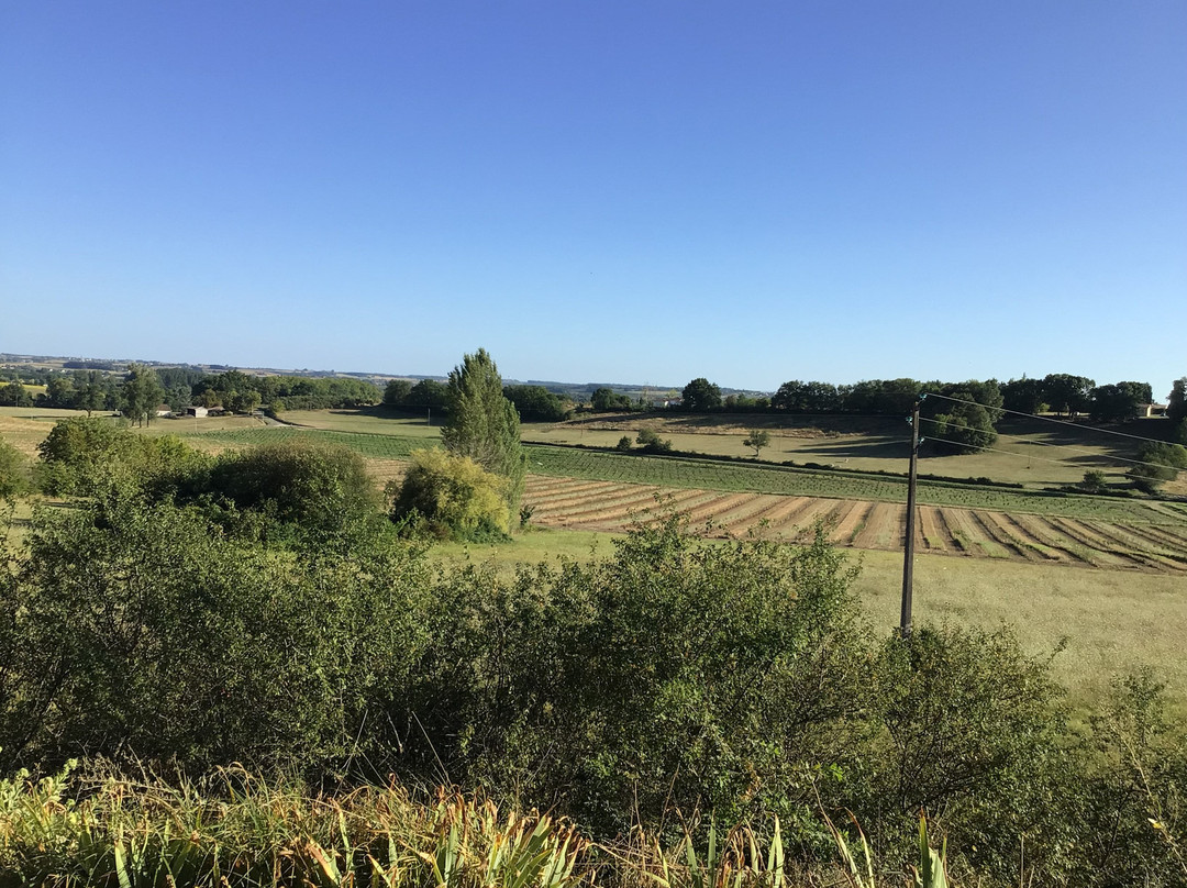 Labarthe B&B and Gite主图