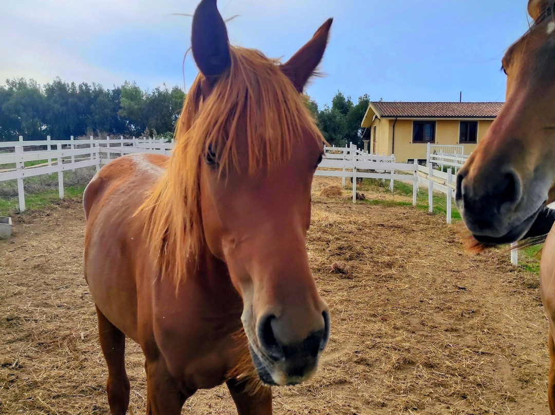 Tre Stelle Sa Mandra-阿尔盖罗必去景点