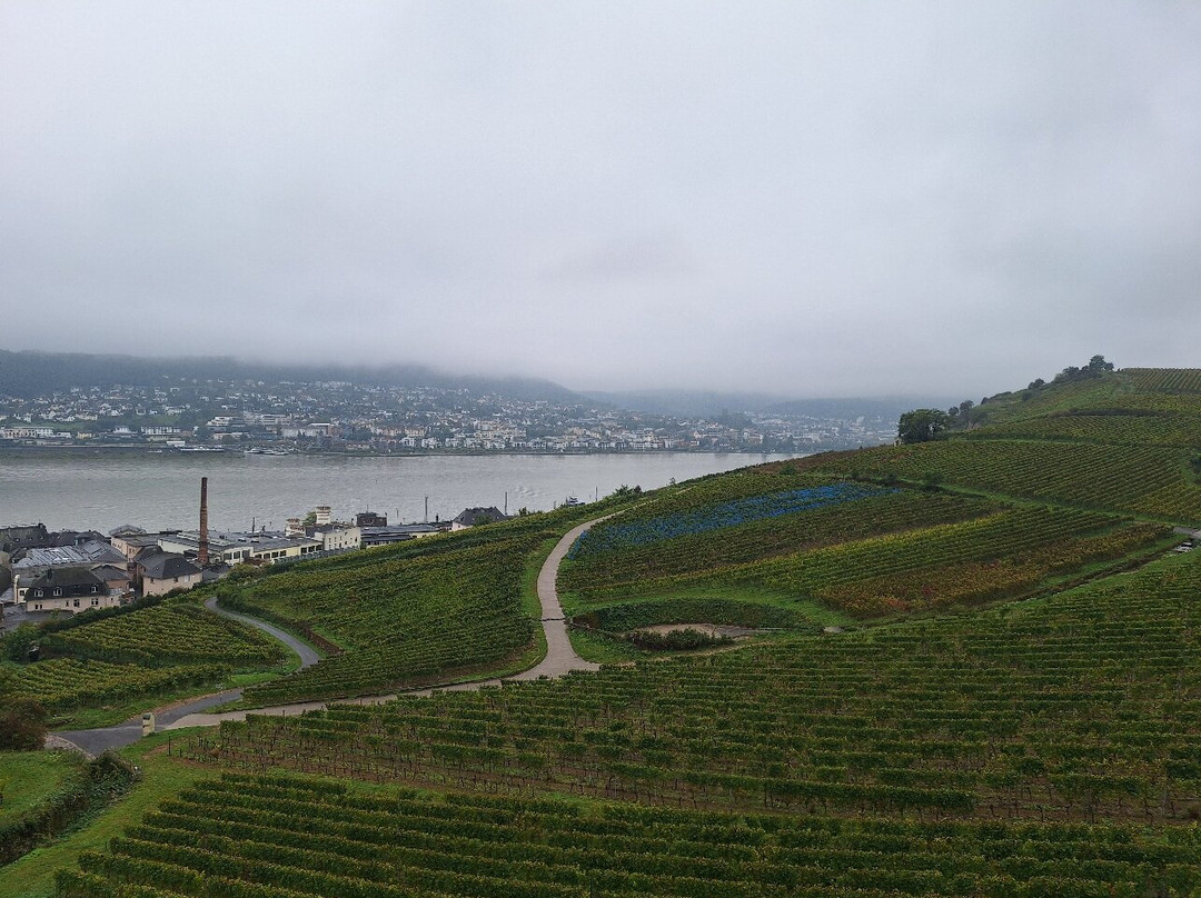 Seilbahn Rudesheim-吕德斯海姆必去景点