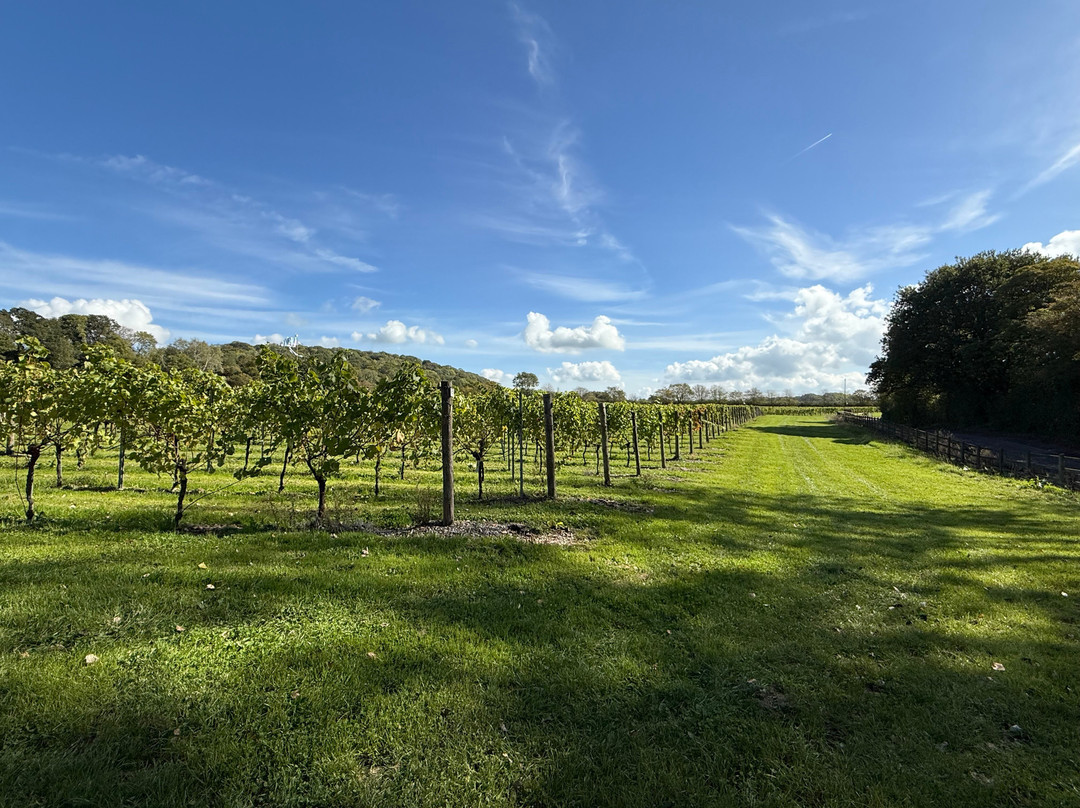 Aldwick Estate-Redhill必去景点