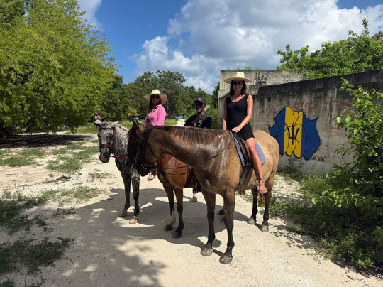 Sandy Turf Stables Barbados-Frere Pilgrim必去景点
