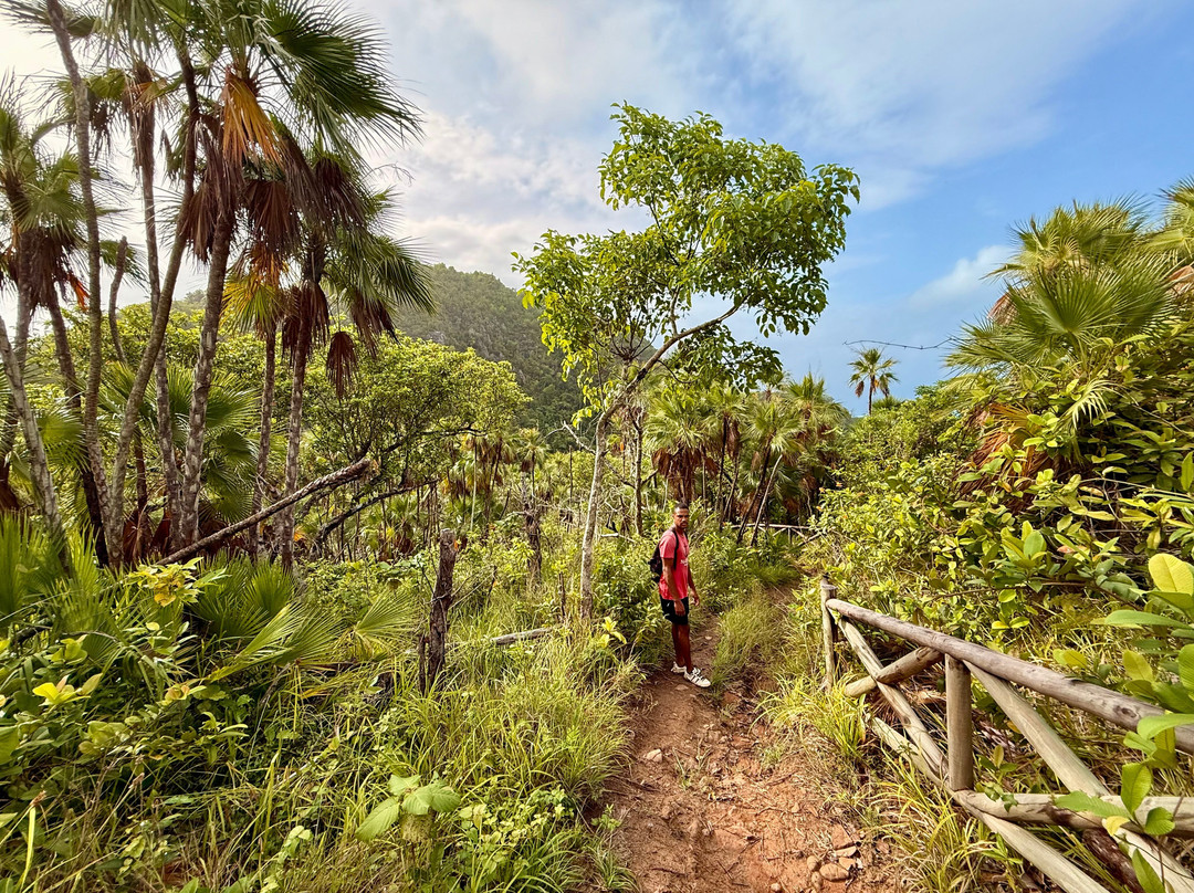 The Peak Forestry Reserve-Providencia Island必去景点