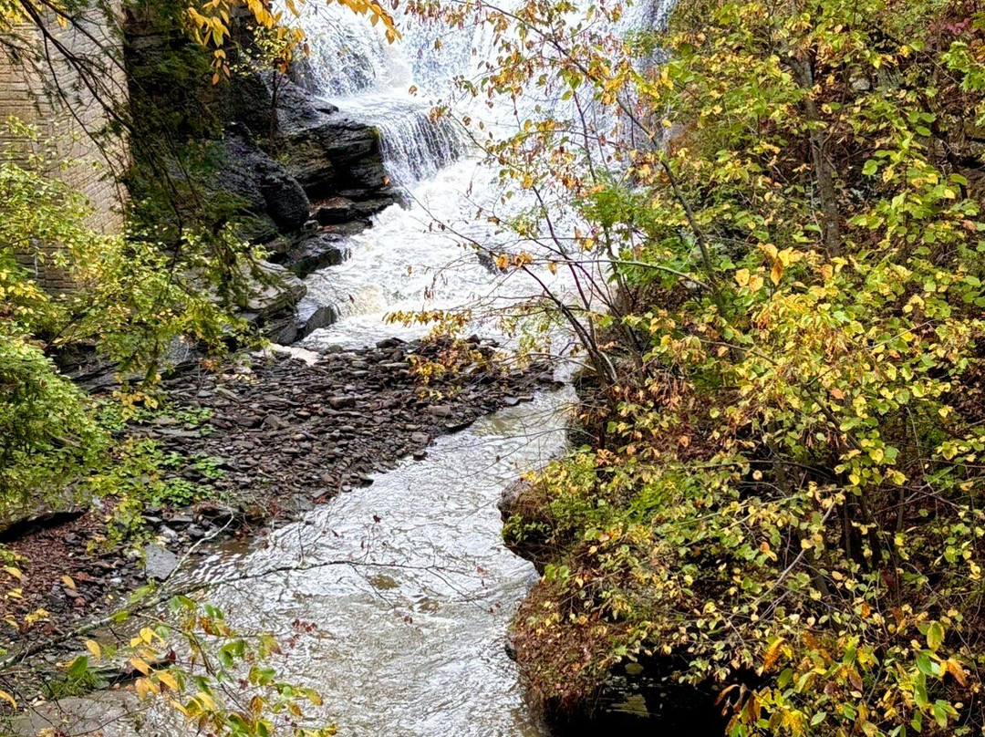 Mine Kill State Park-North Blenheim必去景点