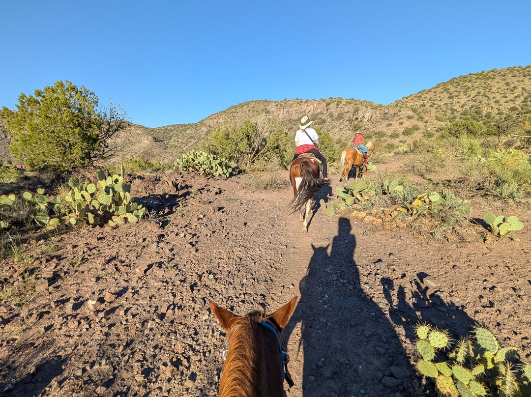 Horsin' Around Adventures-Cornville必去景点