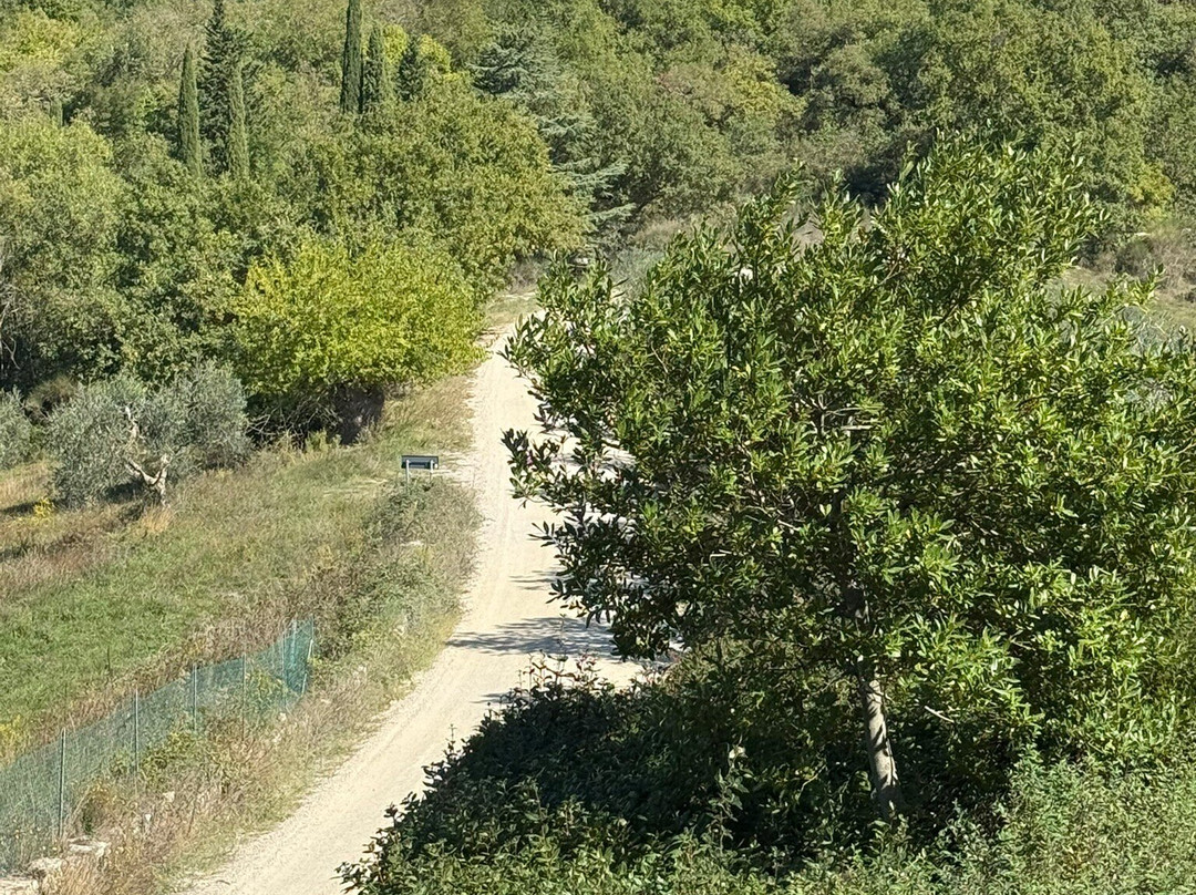 Bindi Sergardi Estates & Vineyards-Vagliagli必去景点