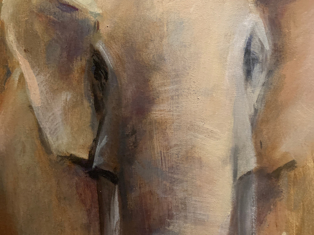 弗莱彻酒店主图