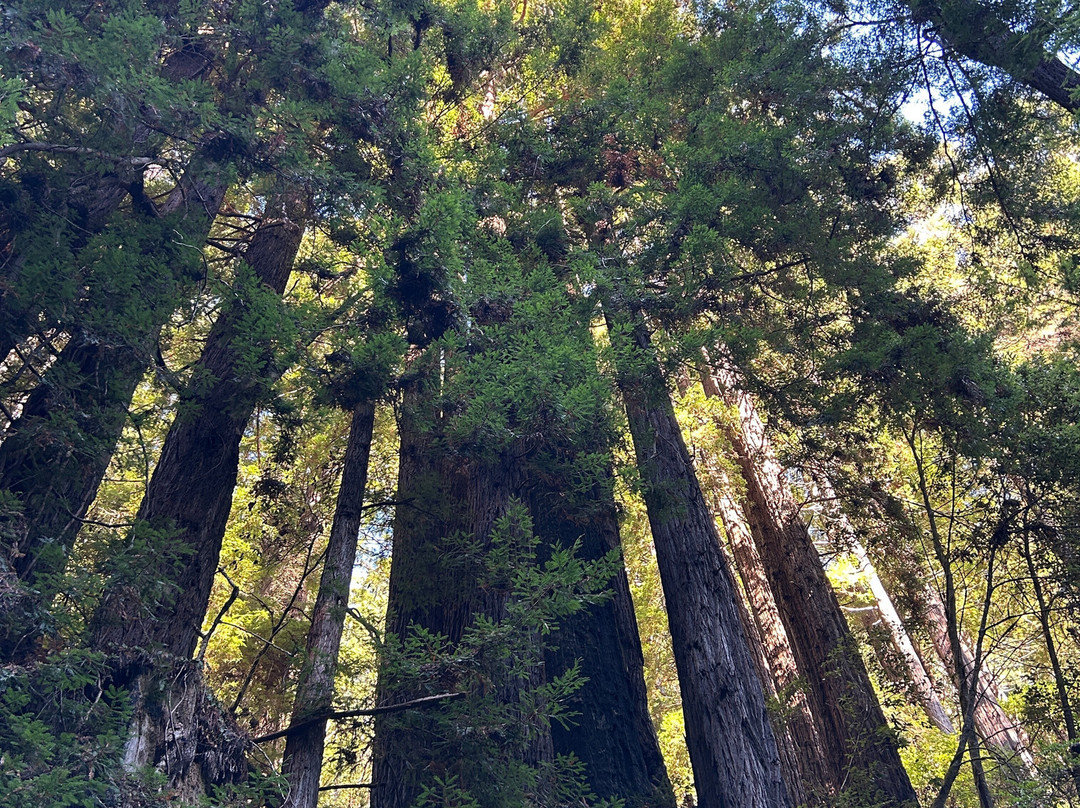 Van Damme State Park-Little River必去景点