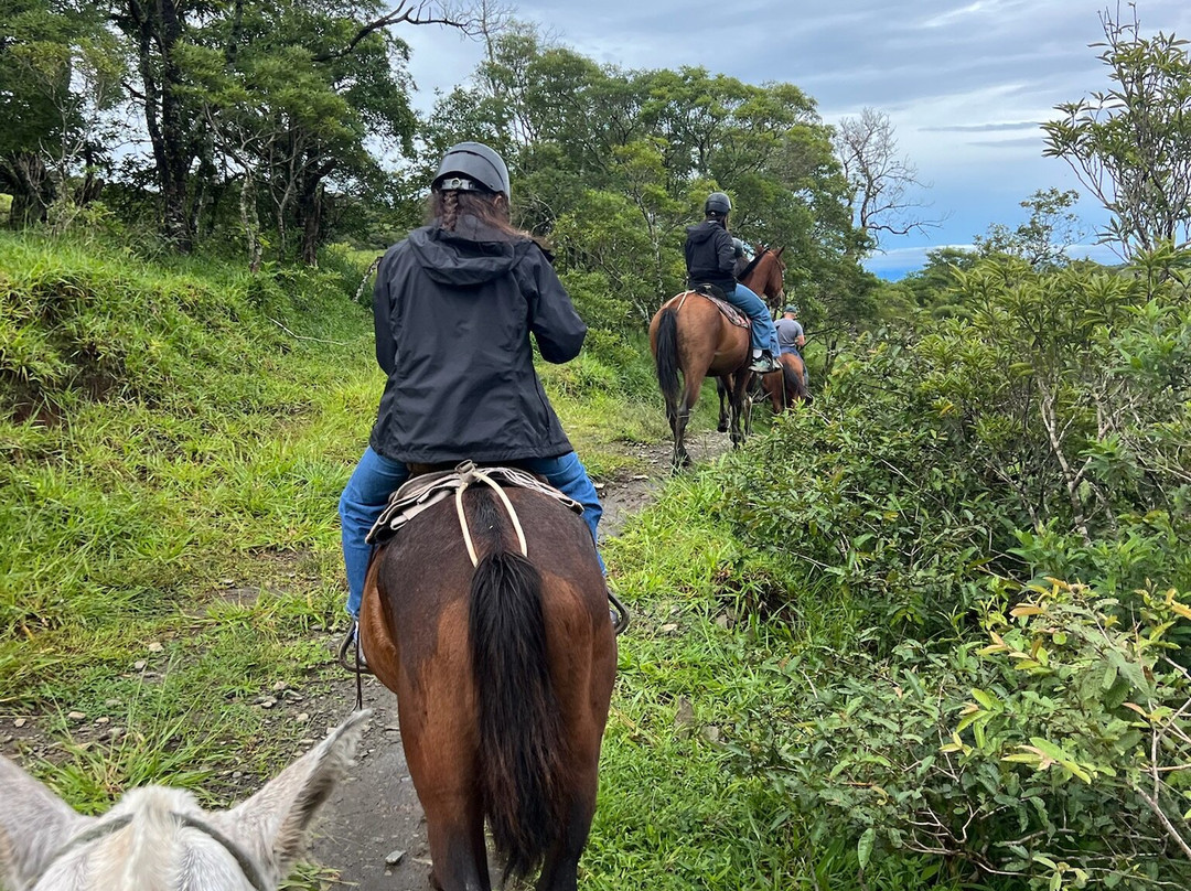 MonteTours-蒙特沃德必去景点