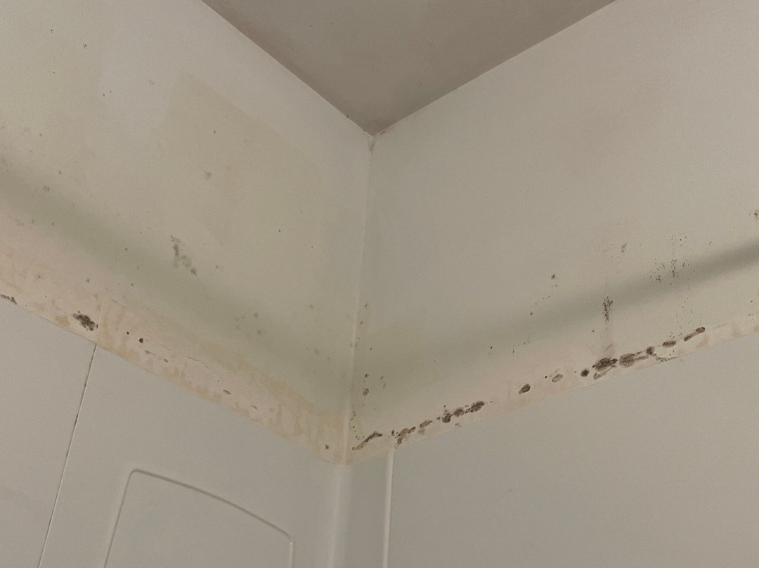 The Budget Inn Express主图