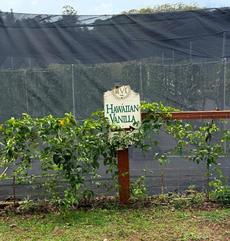 Hawaiian Vanilla Company-帕奥伊洛必去景点