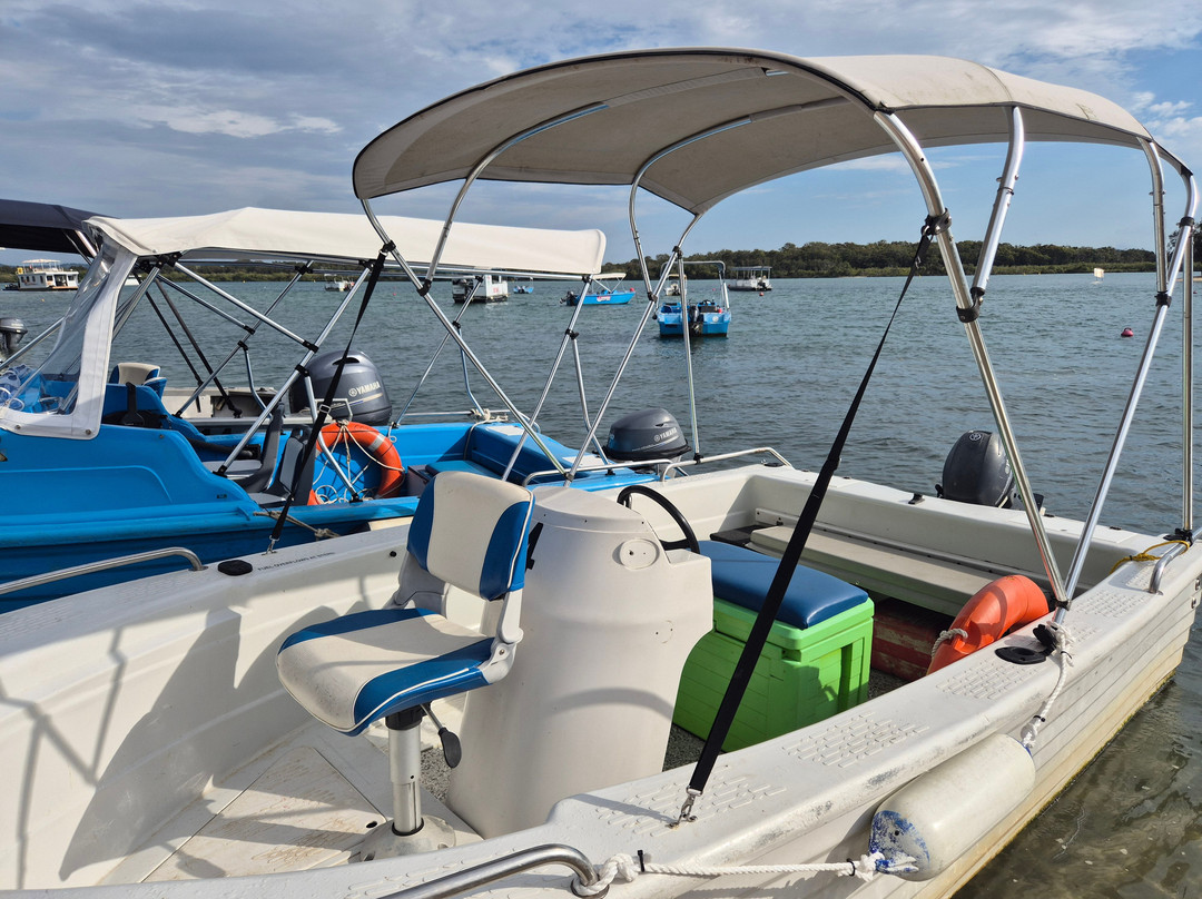 Swan Boat Hire-Maroochydore必去景点