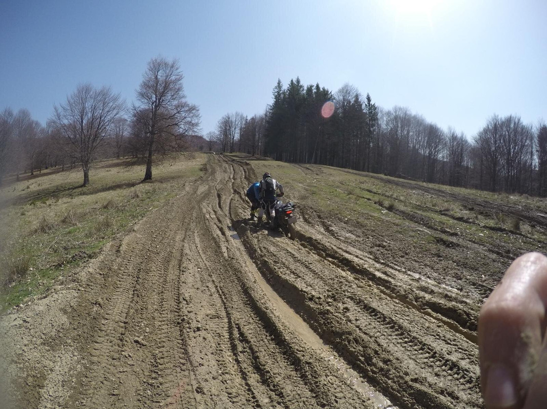 Bike2rent-布加勒斯特必去景点