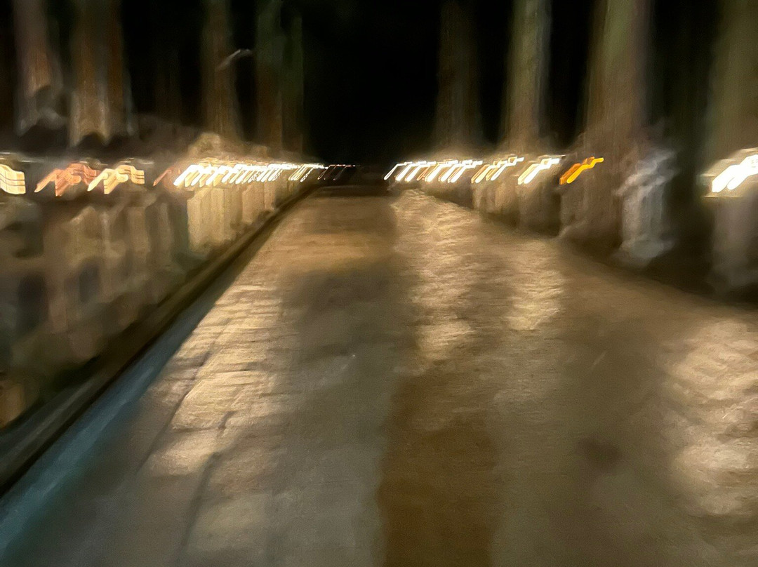 高野山奥之院-高野町必去景点