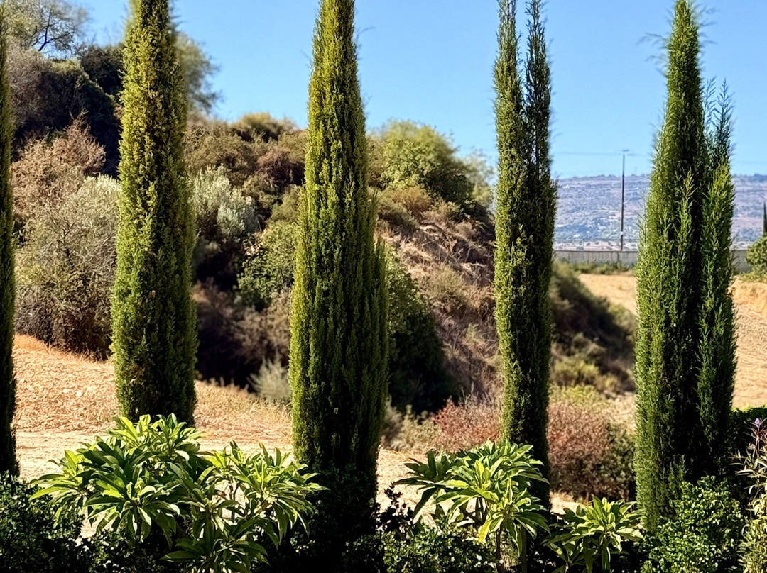Harma Traditional Boutique Suites