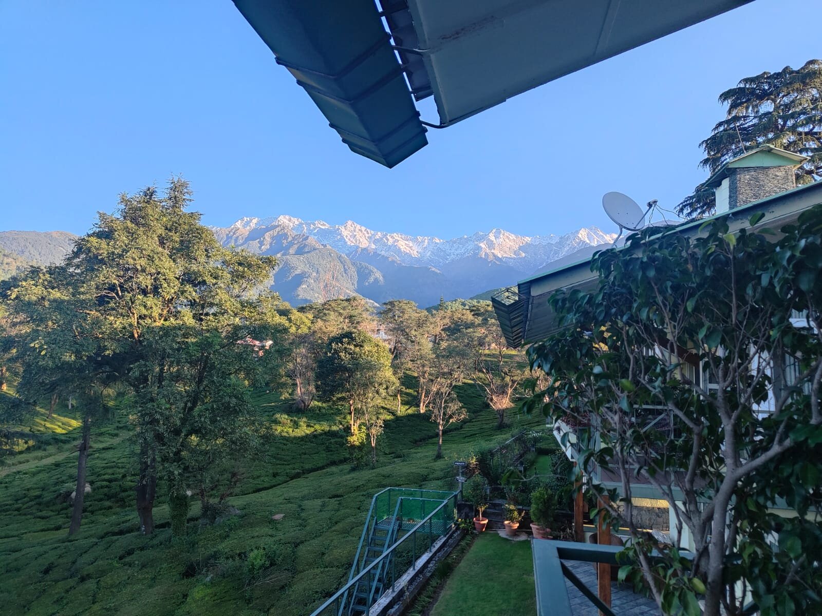 Lamrin Norwood Green Palampur-官方