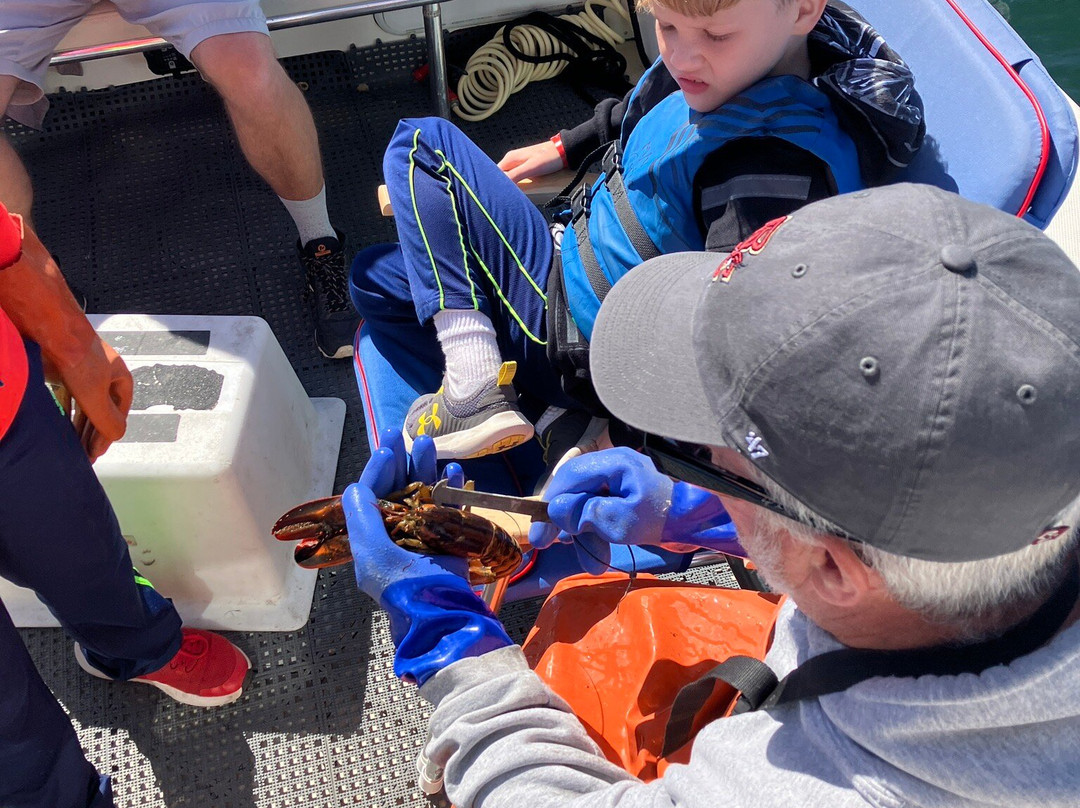 Casco Bay Adventures-南波特兰必去景点
