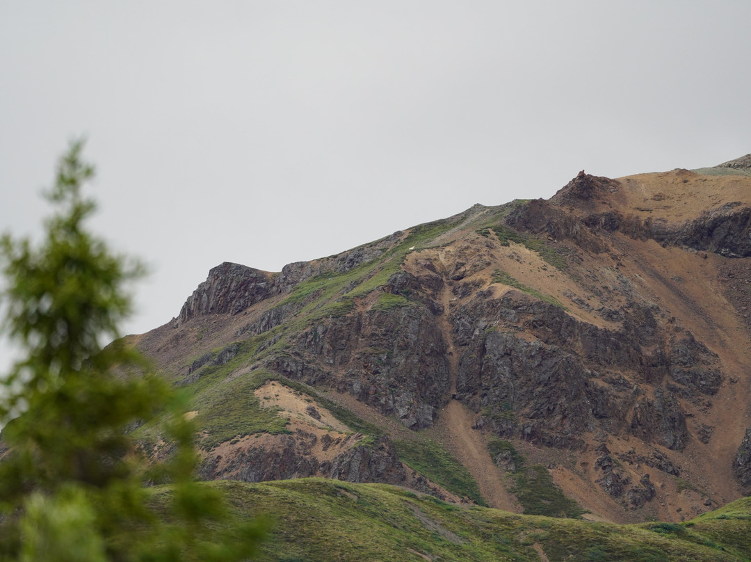 公园大道-德纳利国家公园和自然保护区必去景点