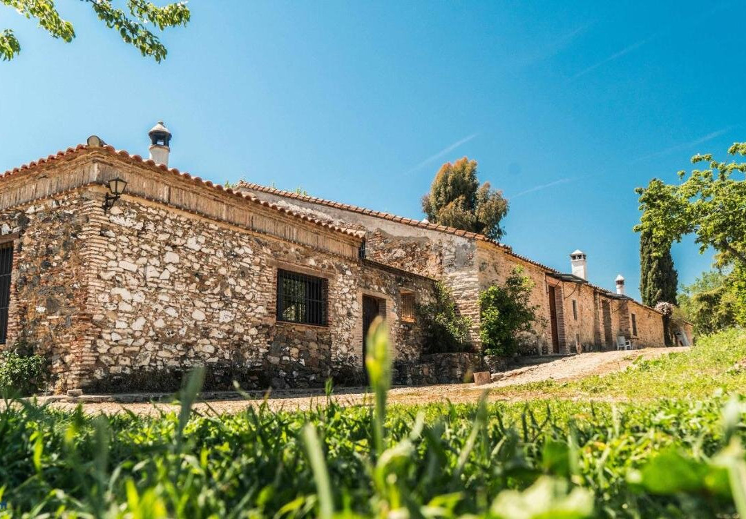 Lagar de Viña Vieja
