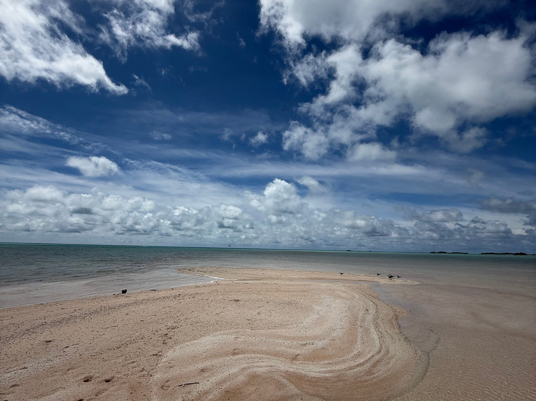 Rairoa Fishing And Tours-伦吉拉必去景点