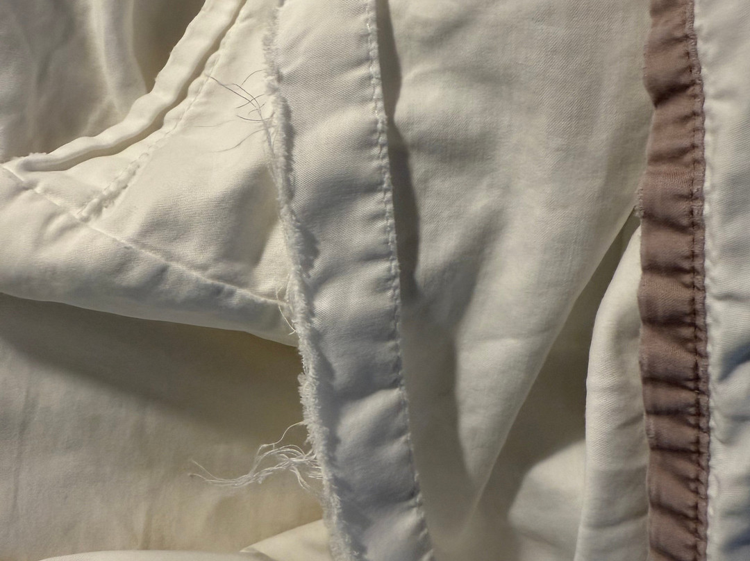 The Westin Baltimore Washington Airport - BWI主图