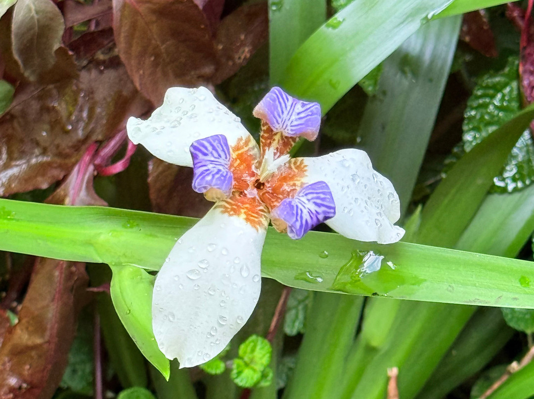 Biesanz Woodworks-埃斯卡松必去景点