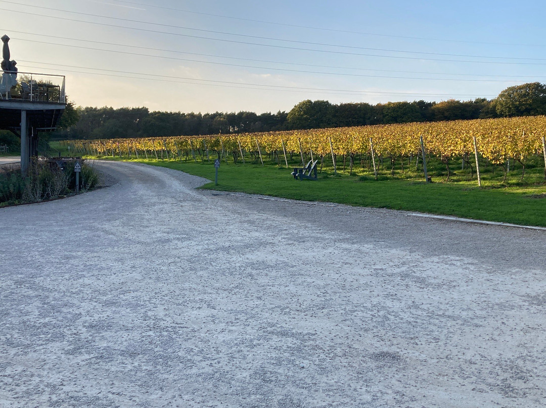Bolney Wine Estate-Bolney必去景点