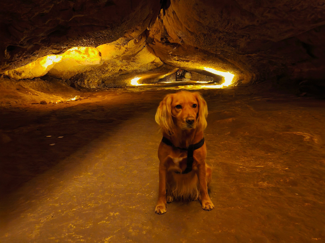 Grotte de Lombrives-Ussat必去景点