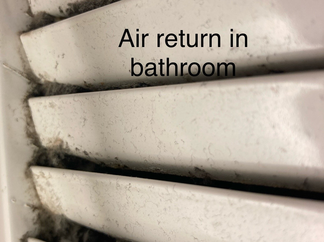 Residence Inn by Marriott Alexandria Old Town/Duke Street主图